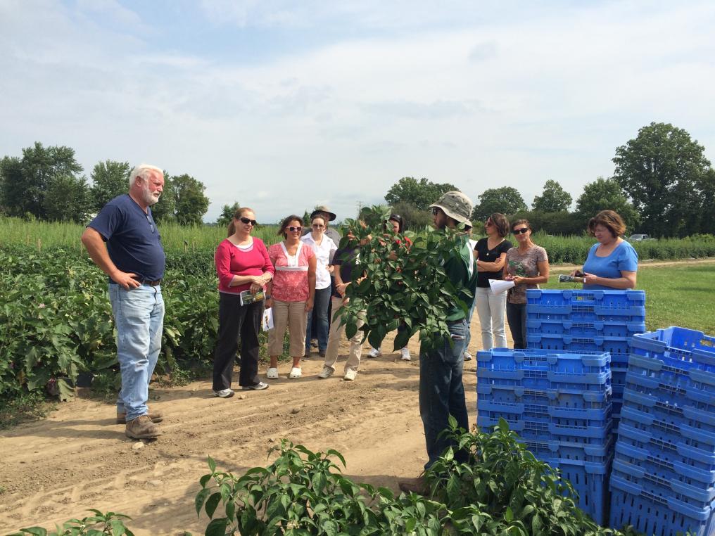 Cultivate Michigan takes a farm tour of VanHoutte Farms, included in the Macomb County Farm to School Directory, in summer 2015.
